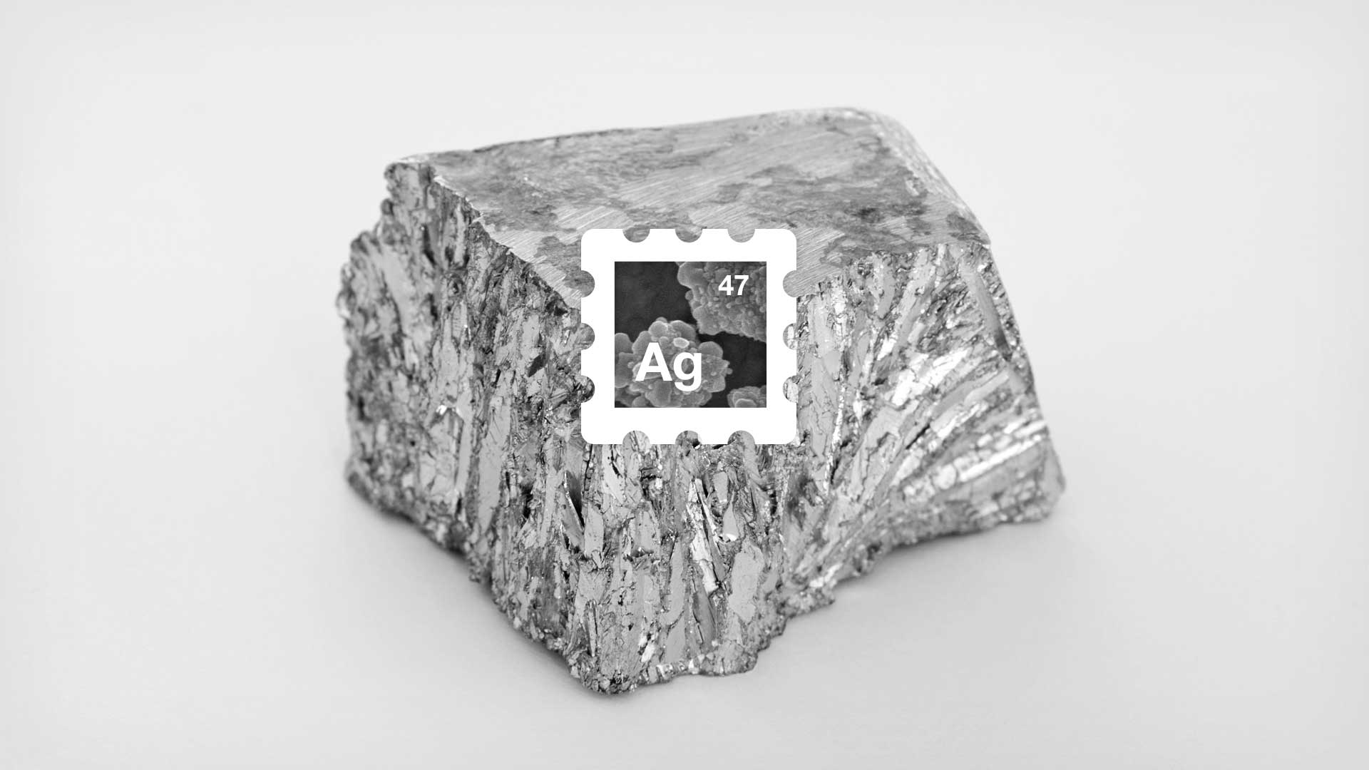 2014 Silver Stamps Dear Cast & Crew