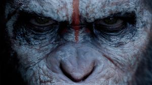 Dawn of the Planet of the Apes Image