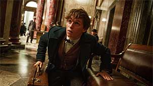 Fantastic Beasts and Where to Find Them Image