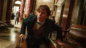 Fantastic Beasts and Where to Find Them Image