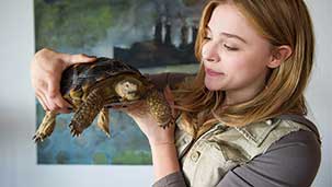 Laggies Image