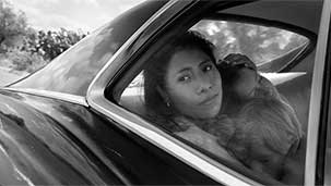 Roma is a Gift (and the Best Film of 2018) Image