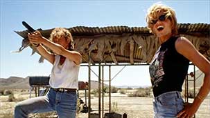 Still Not Over the Canyon - Thelma and Louise at 25 Image