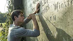 The Maze Runner Image