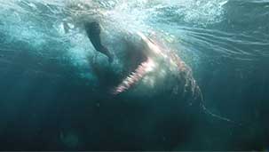 The Meg Image