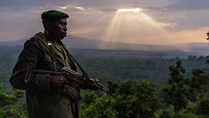 Virunga Image